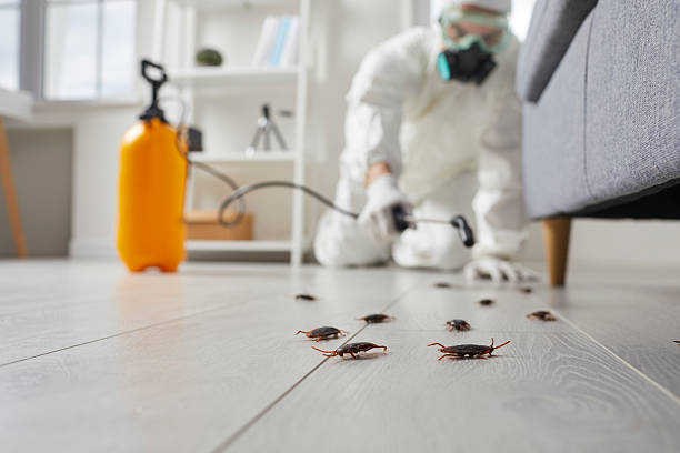 Commercial Rodent Management in Munroe Falls